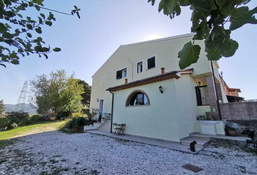 B&b Il Poggio Di Fiore