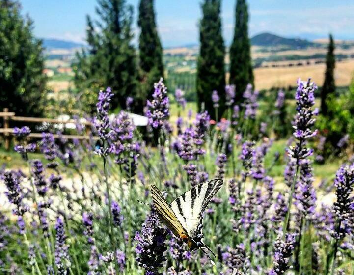 B&b Il Poggio Di Fiore