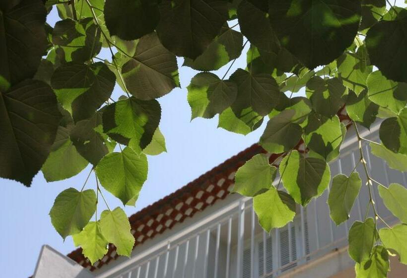 ベッドアンドブレックファースト 1er Consul