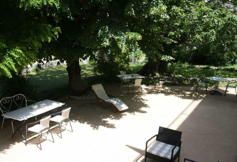 ベッドアンドブレックファースト 1er Consul