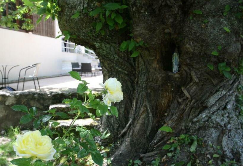 ベッドアンドブレックファースト 1er Consul