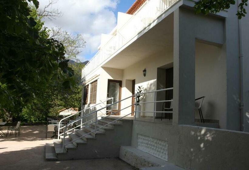 ベッドアンドブレックファースト 1er Consul