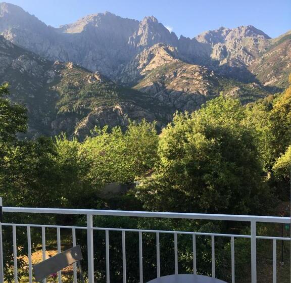 ベッドアンドブレックファースト 1er Consul