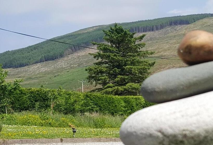 住宿加早餐 An Charraig Ban On The Wild Atlantic Way F94wt02