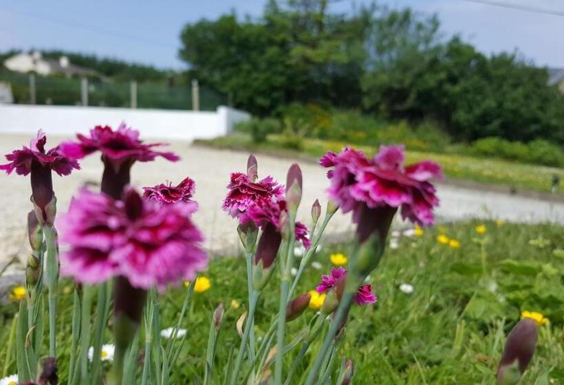 住宿加早餐 An Charraig Ban On The Wild Atlantic Way F94wt02