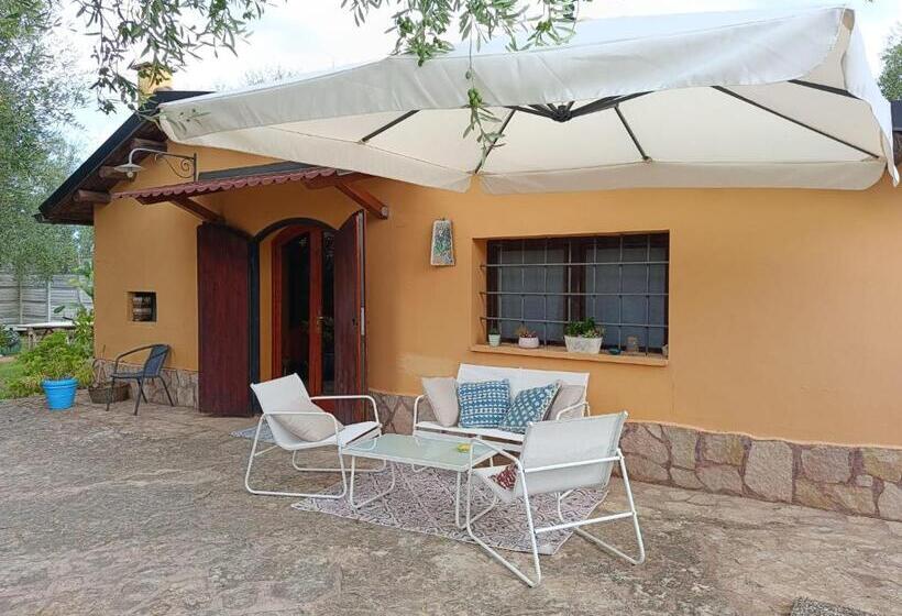 مبيت وإفطار Aspromonte Yellow House