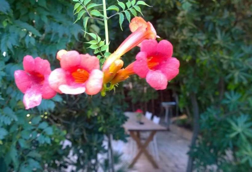 צימר Buba Bnb Superior