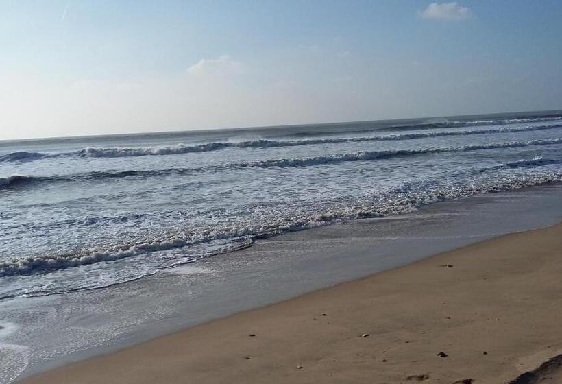 ベッドアンドブレックファースト Calme Et Sérénité