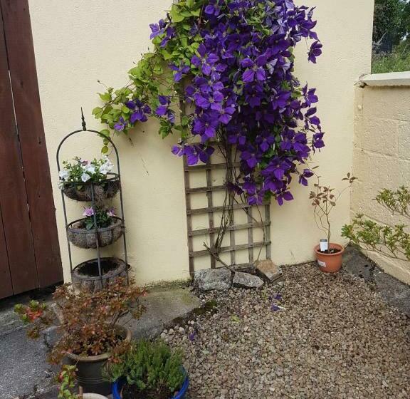 צימר Channel View