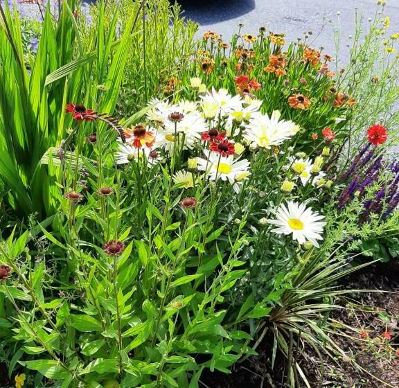 צימר Channel View