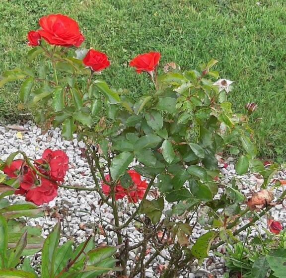 צימר Channel View