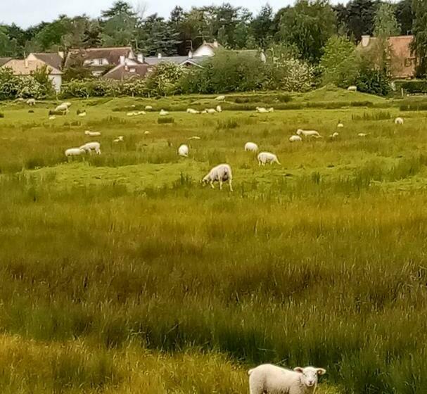 ベッドアンドブレックファースト Chez Gigi