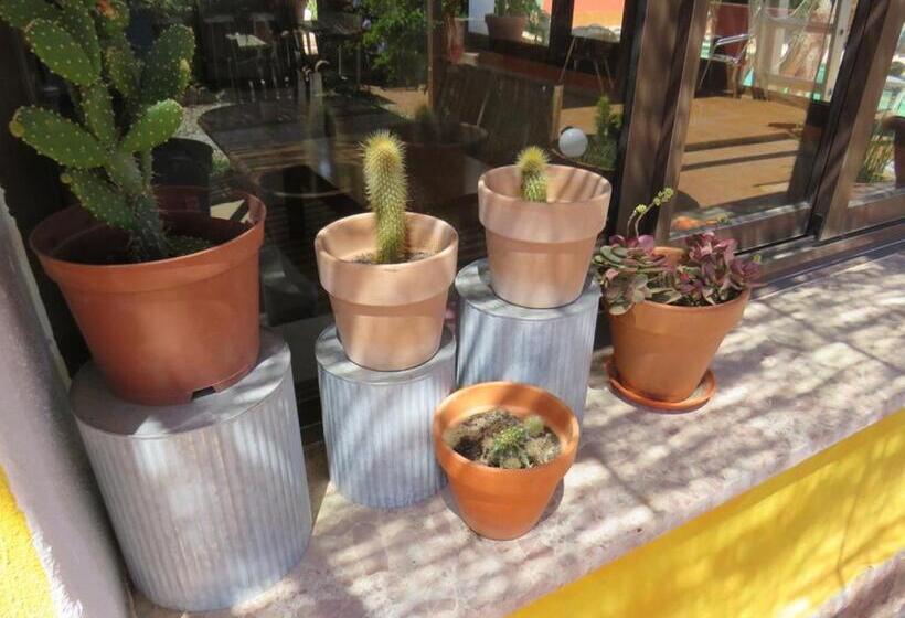 ベッドアンドブレックファースト Higos Chumbos, Casa Rural Compartido