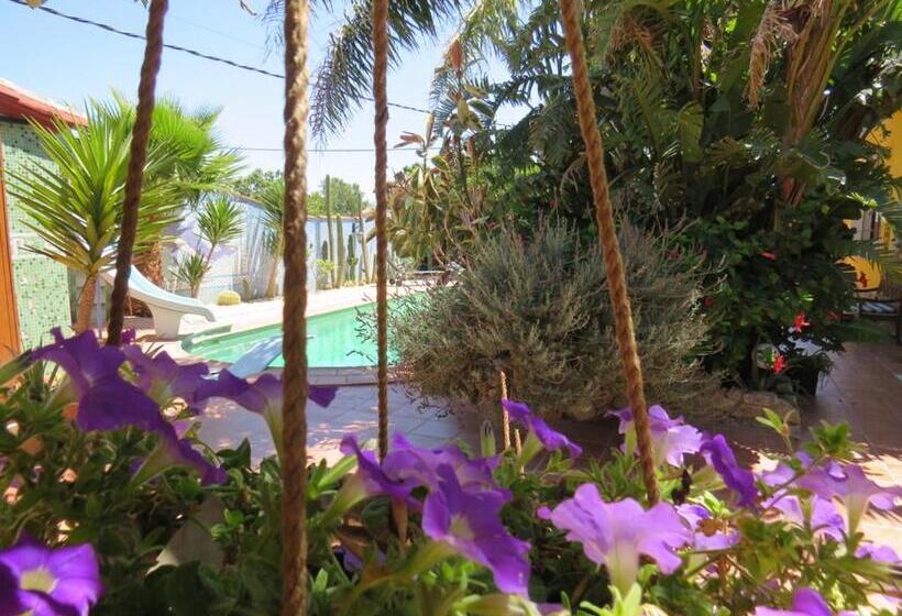 ベッドアンドブレックファースト Higos Chumbos, Casa Rural Compartido