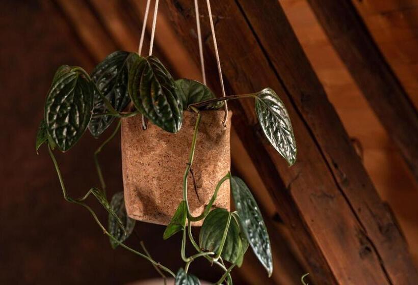 مبيت وإفطار Koffie&kussens