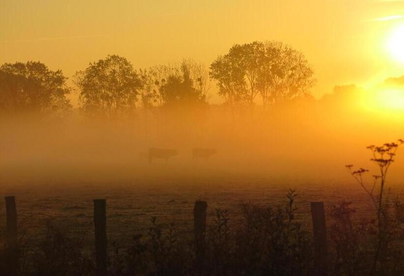 Bed and Breakfast La Petite Foucaudiere