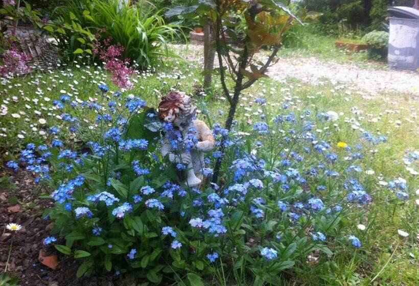 Bed and Breakfast Les 3 Roses