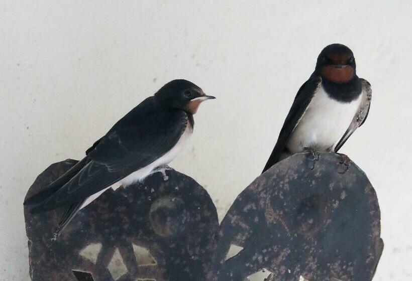 צימר Mas D Auzières