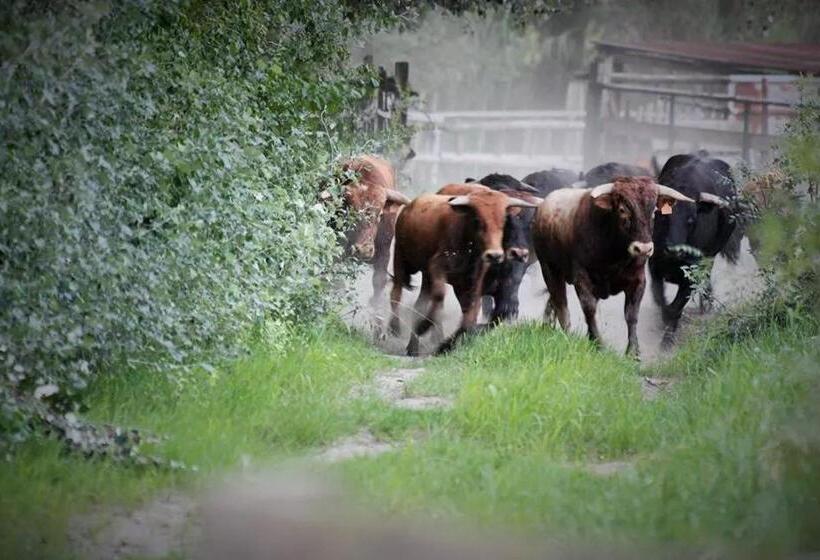 צימר Mas D Auzières