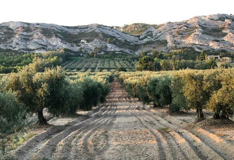 민박 Merci Papa Merci Maman