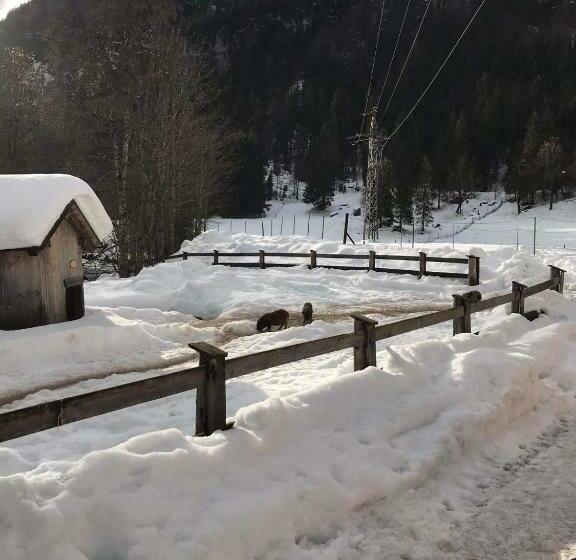 مبيت وإفطار Pension Nachtviole