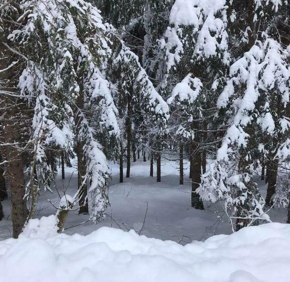 مبيت وإفطار Pension Nachtviole