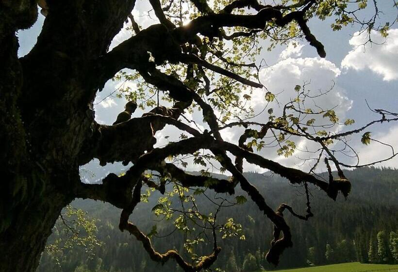 مبيت وإفطار Pension Nachtviole