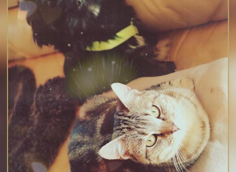 مبيت وإفطار Skymist Maison D Hôtes