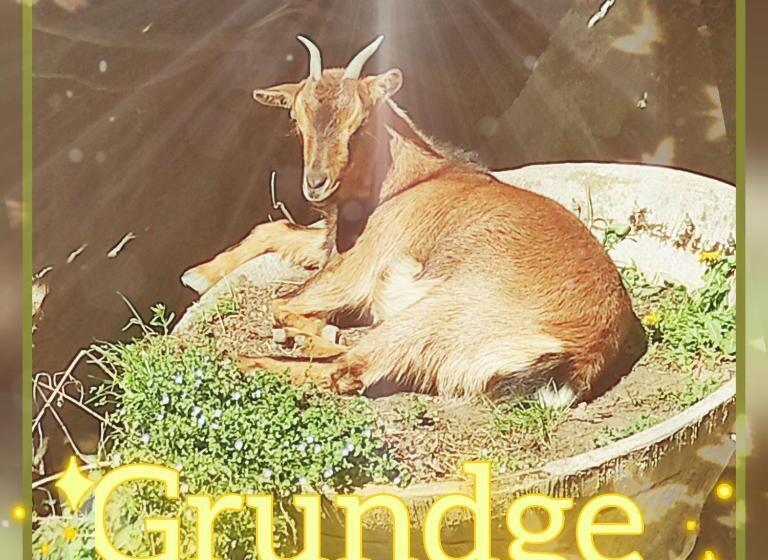 مبيت وإفطار Skymist Maison D Hôtes