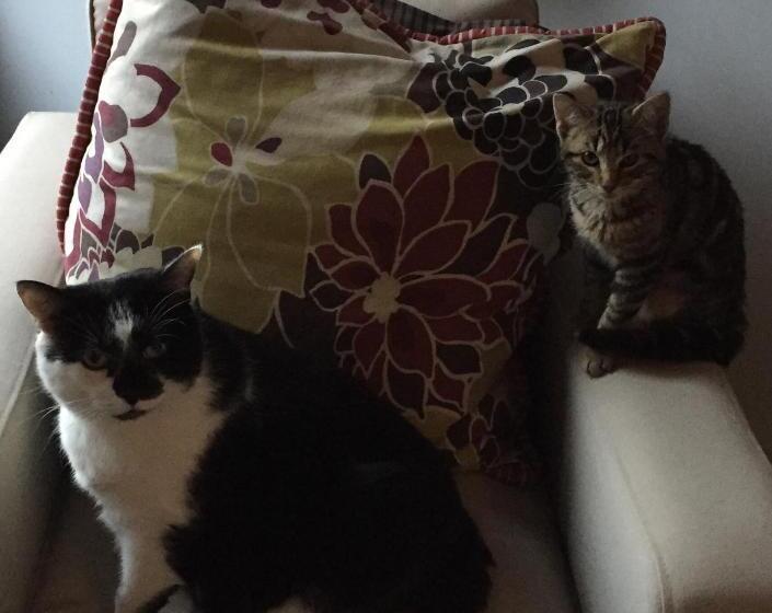 צימר Vingt Vieux Bourg