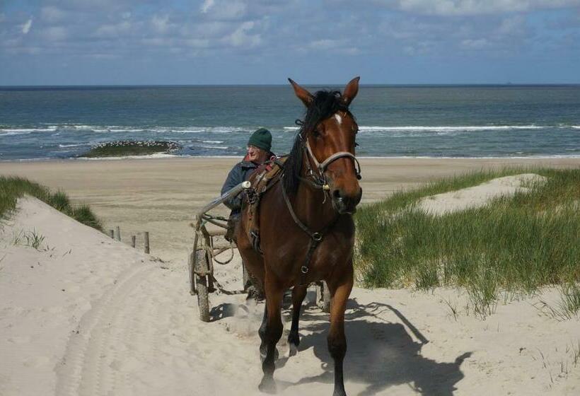 Bed & Breakfast Aan Zee