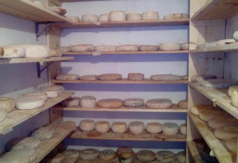 فندق Agriturismo I Due Falcetti