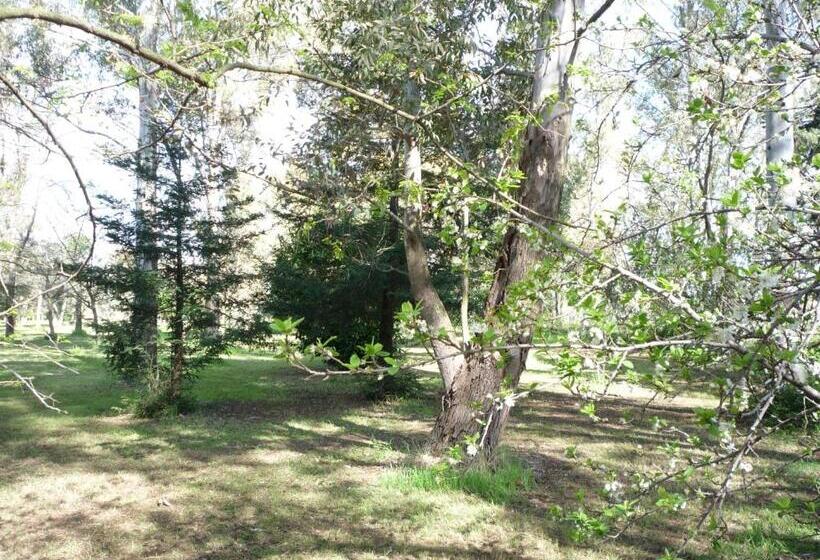 فندق Agriturismo La Giannottola