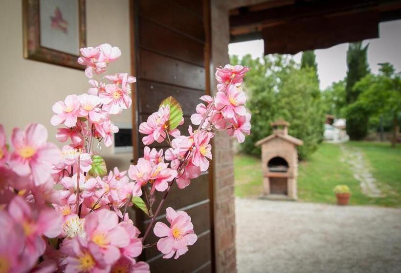 Отель Agriturismo La Mirandola