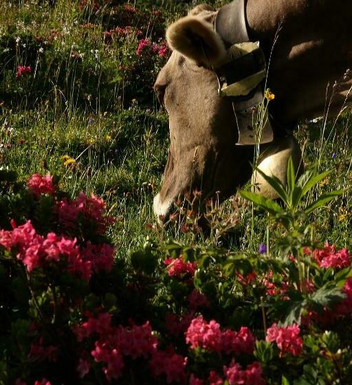 فندق Ferienhof Metzler