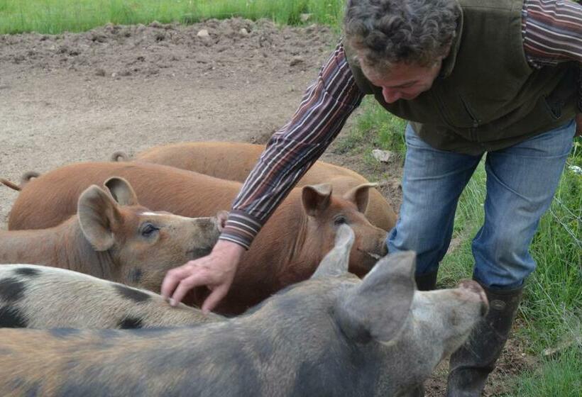 בית מלון כפרי Auberge Briassou