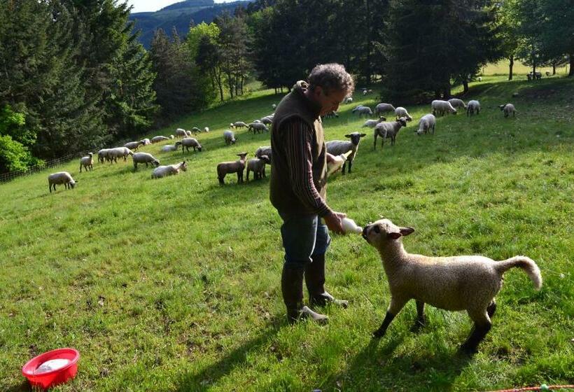 בית מלון כפרי Auberge Briassou