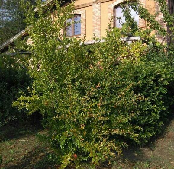 فندق Terra Di Magie