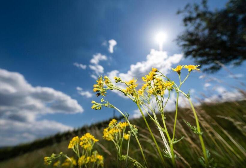 هتل Weingut Wohlfühlzimmer Adam Lieleg