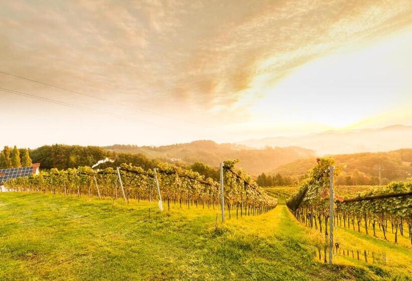 ホテル Weingut Wohlfühlzimmer Adam Lieleg