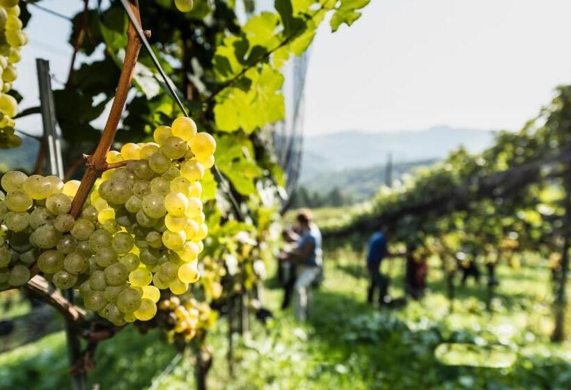 ホテル Weingut Wohlfühlzimmer Adam Lieleg