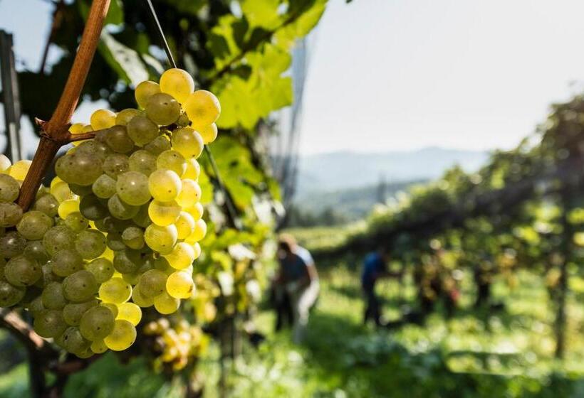 ホテル Weingut Wohlfühlzimmer Adam Lieleg