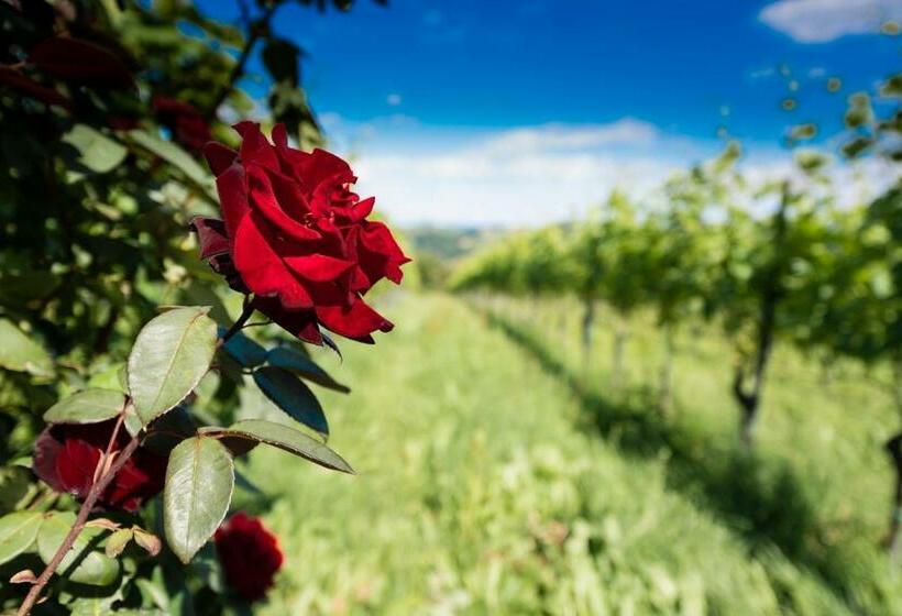 ホテル Weingut Wohlfühlzimmer Adam Lieleg