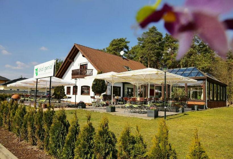 Lokal Genial Pension & Restaurant