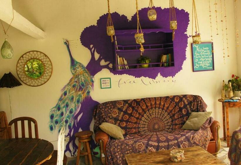 Natural Mystic Hostel