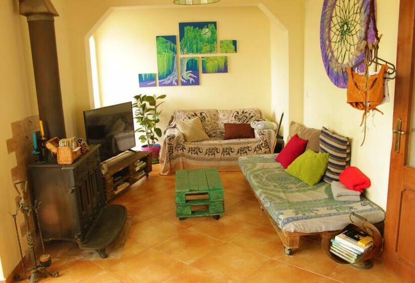 Natural Mystic Hostel