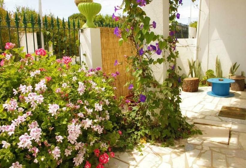 Natural Mystic Hostel