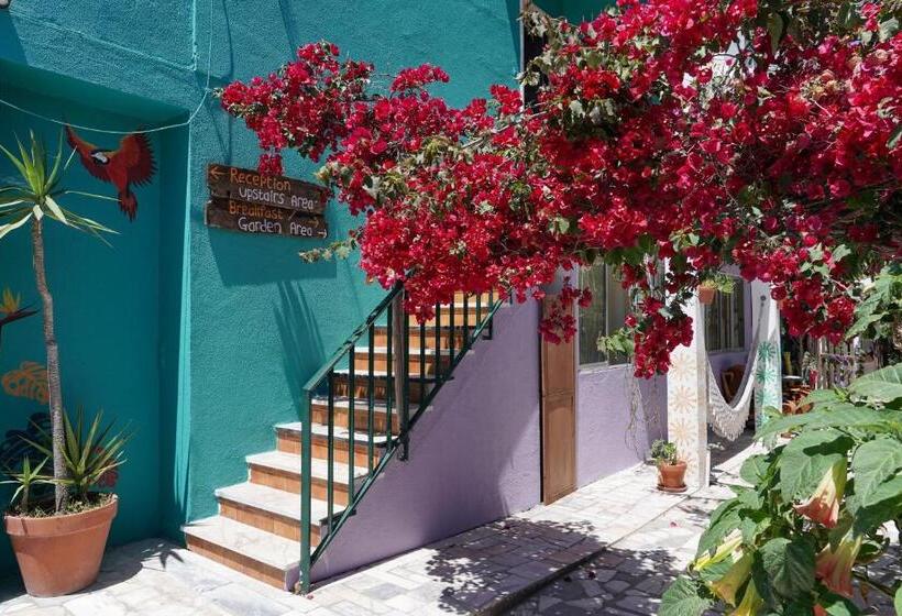 Natural Mystic Hostel