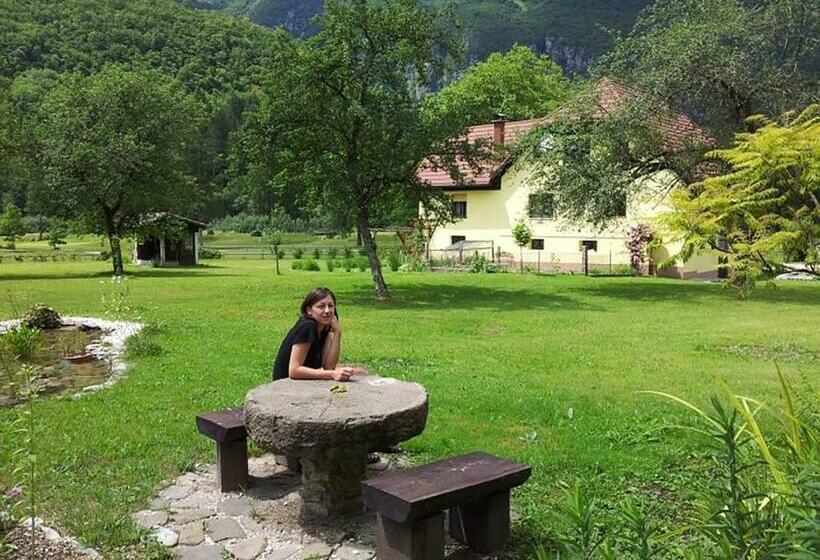 پانسیون Apartments And Rooms Oasis Of Peace