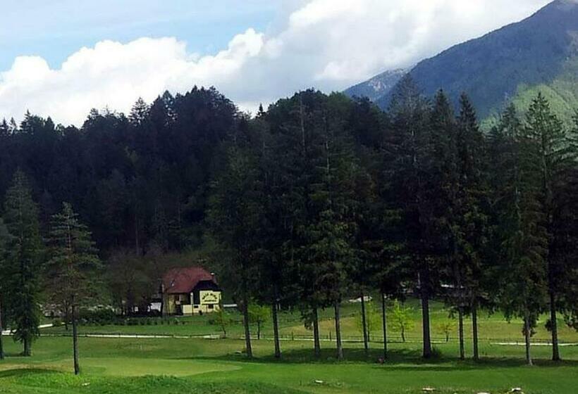 پانسیون Apartments And Rooms Oasis Of Peace